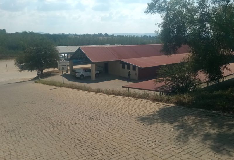 WhatsApp Image 2024-04-04 at 08.41.35_afd1ee4f